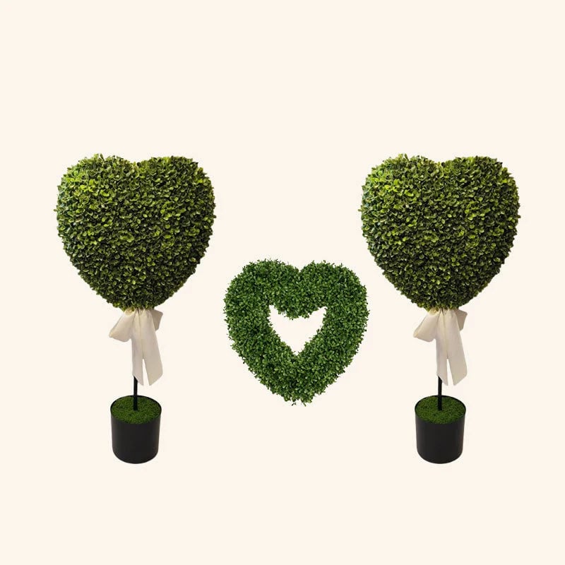 Valentine's Day Decorative Plants