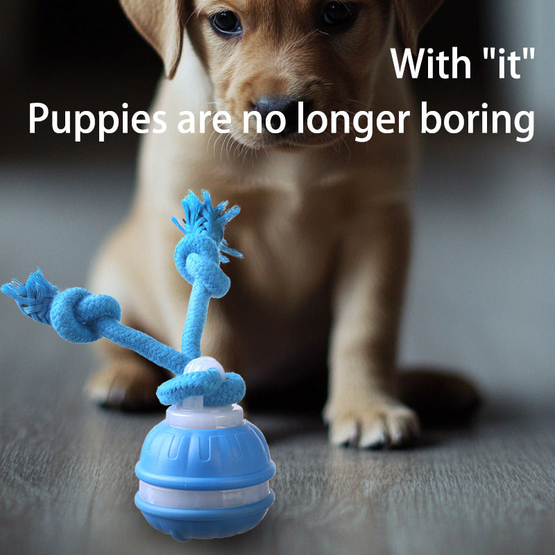 Rechargeable Squeaky Dog Rope Ball