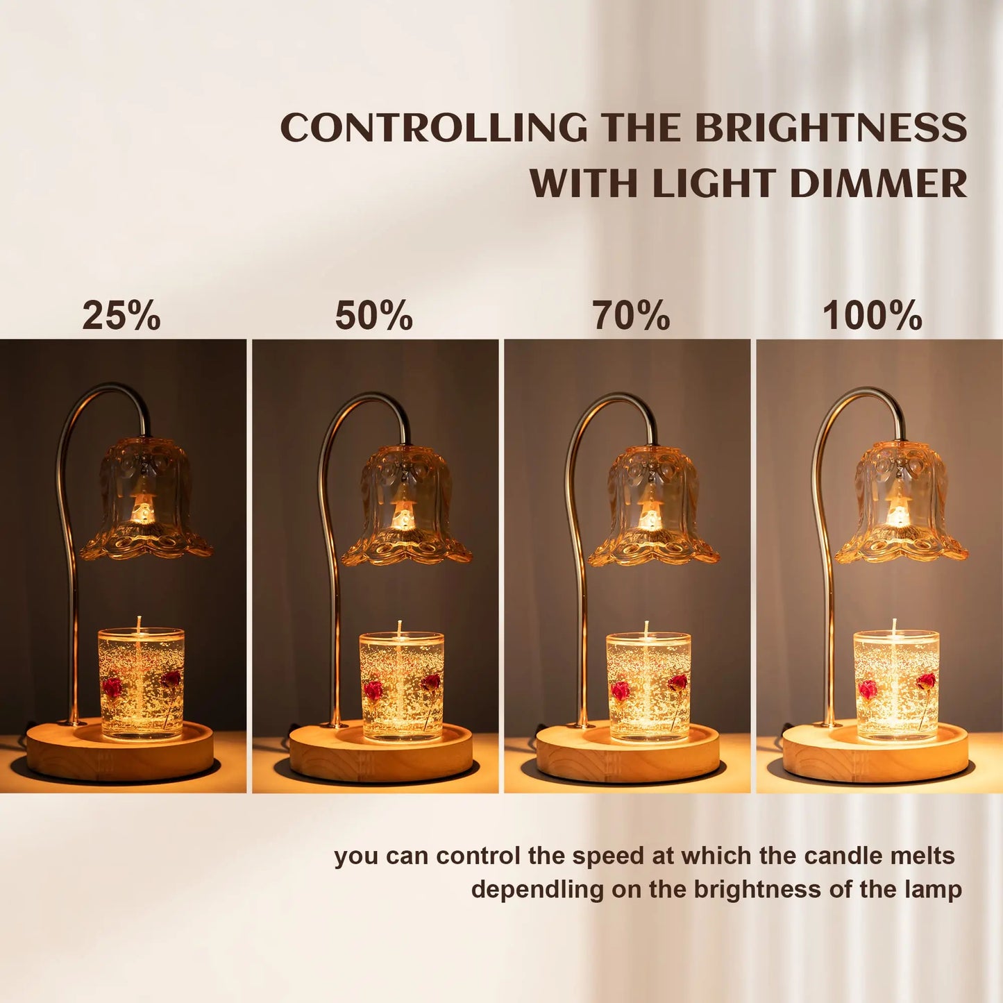 Wax Melter Candle Lamp