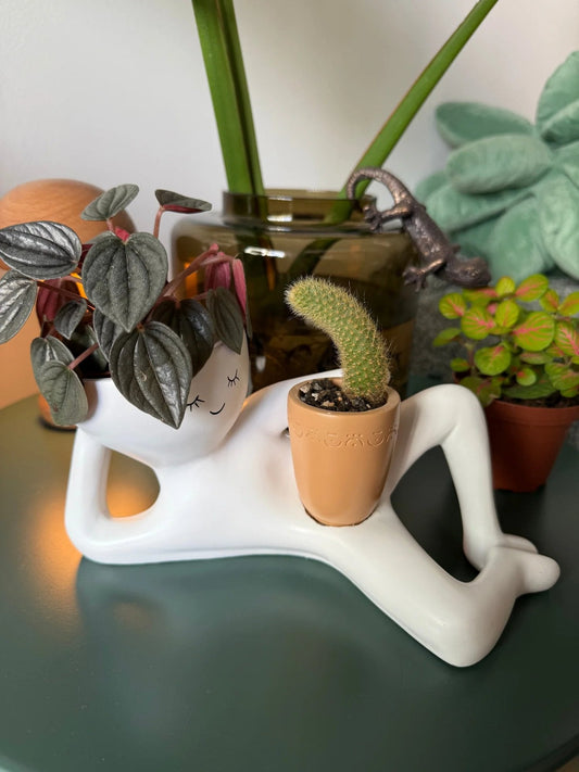 Lazy Guy Pot