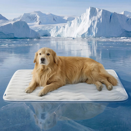 Bedsure Cooling Thin & Thick Mat for Dogs Q-MAX>0.4 Washable Pet Cooling Pad, No Gel, No Electric
