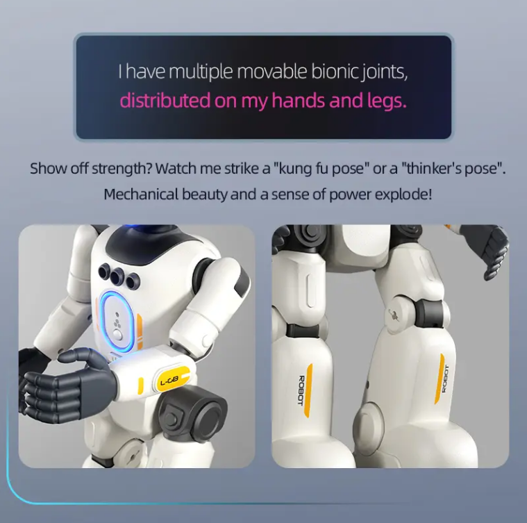 Interactive Humanoid AI Robot