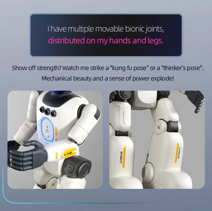 Interactive Humanoid AI Robot