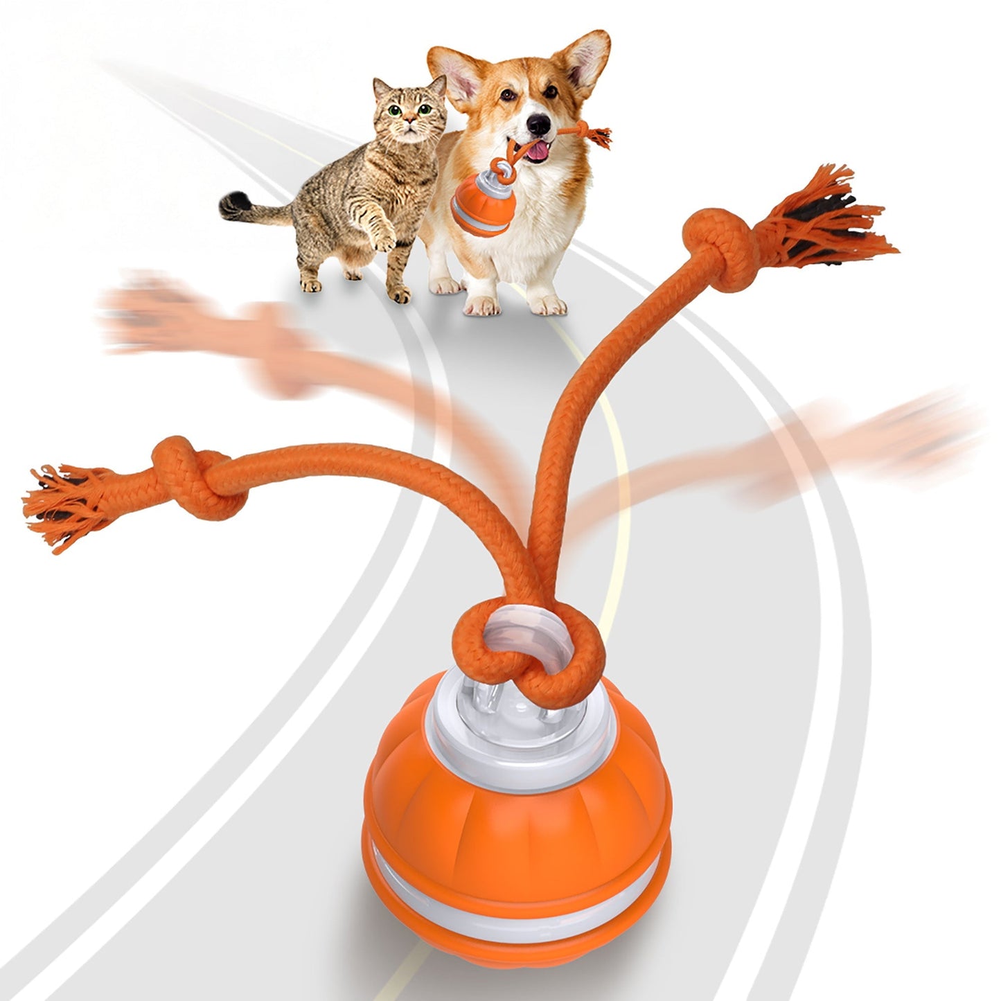 Rechargeable Squeaky Dog Rope Ball
