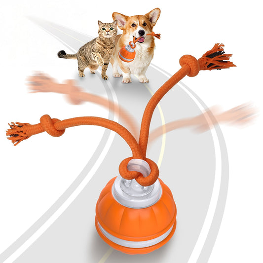 Rechargeable Squeaky Dog Rope Ball
