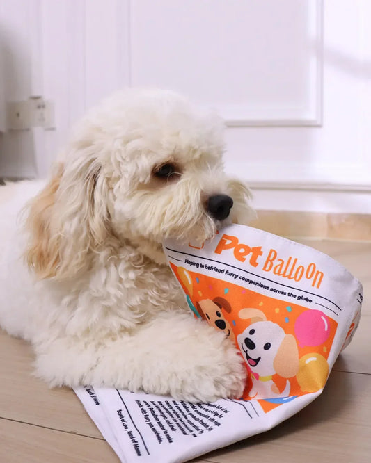 Crinkle Newspaper Dog Toy