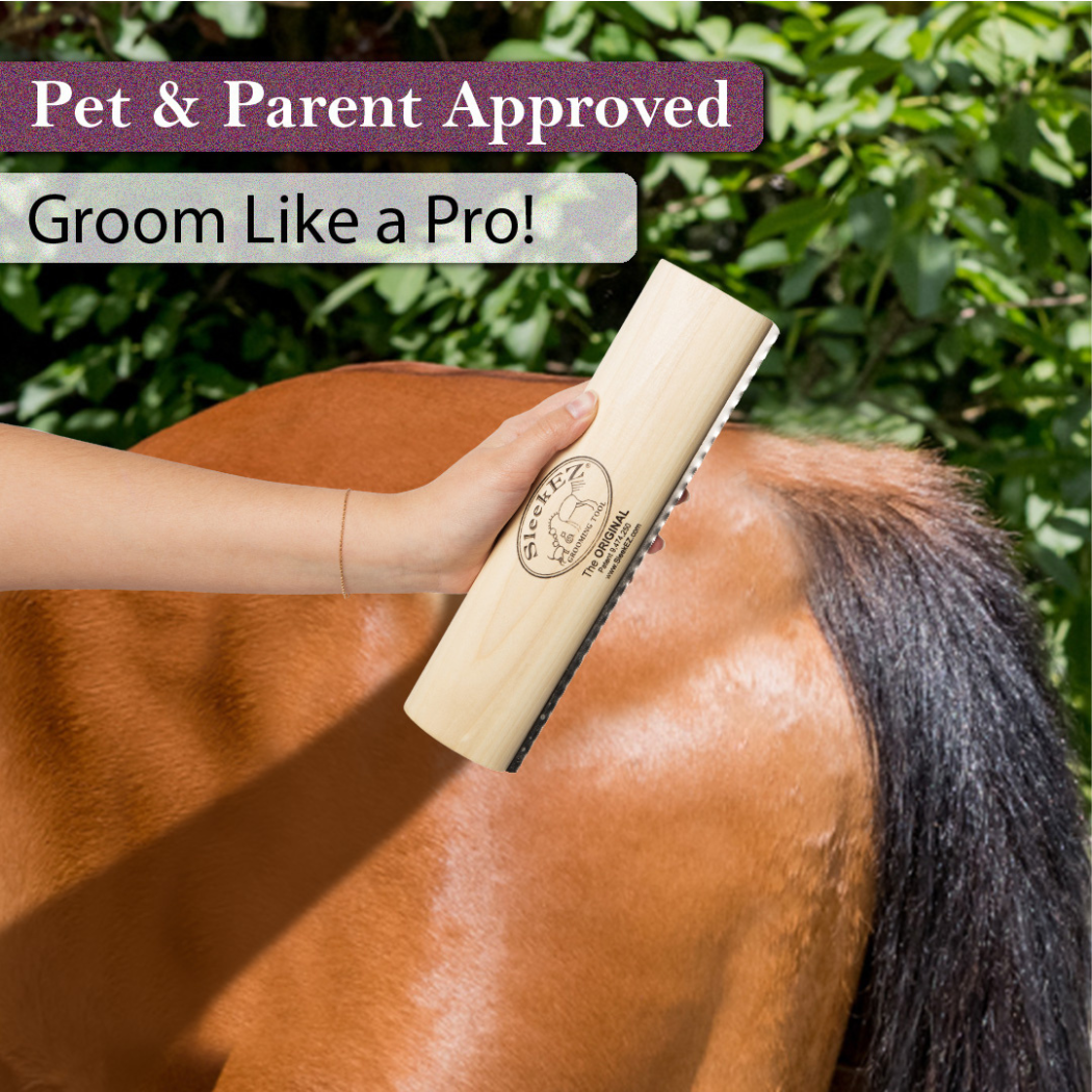 Pet Shedding Grooming Brush