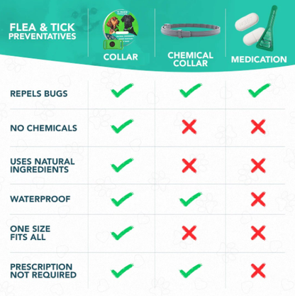 12 Months Flea and Tick Free