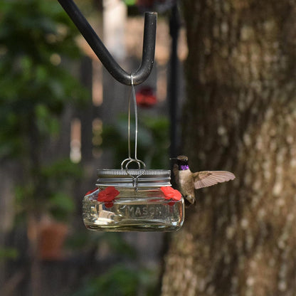 Four-Port Hummingbird Feeder