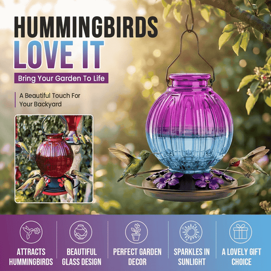 Glass Hummingbird Feeder