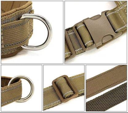 Large Dog Harness Set