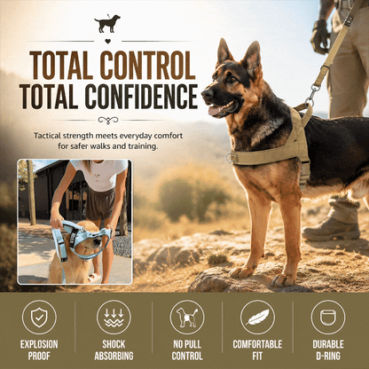 Large Dog Harness Set