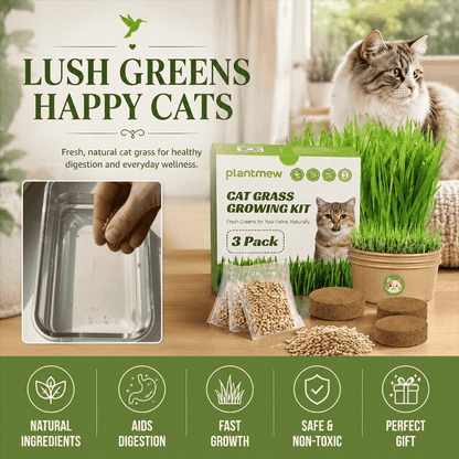 Cat Grass Seed Pack