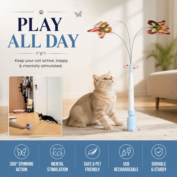 Spinning Butterfly Cat Wand