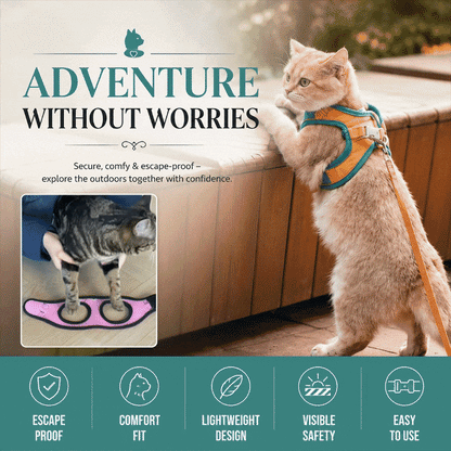 Reflective Small Pet Leash