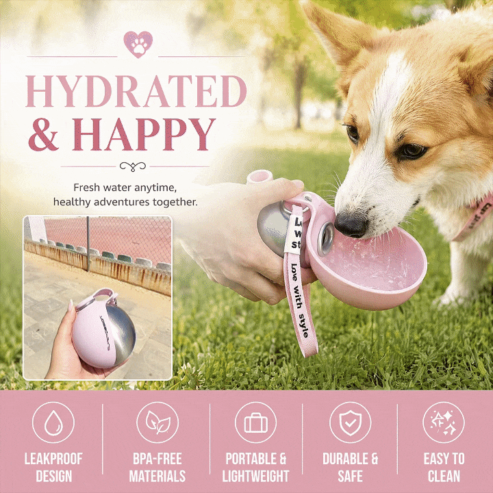 Foldable Stainless Water Feeder