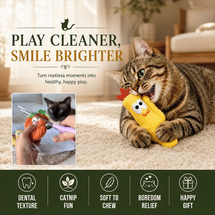 Cactus Catnip Toy Collection