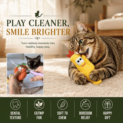 Cactus Catnip Toy Collection
