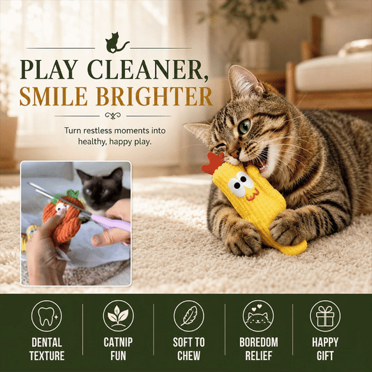 Cactus Catnip Toy Collection