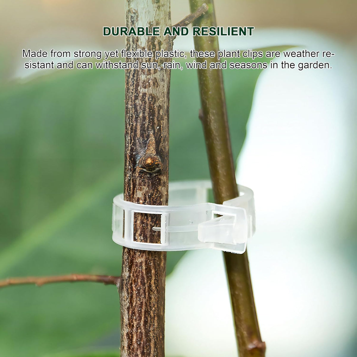 100 Counts Plant upright growth support device