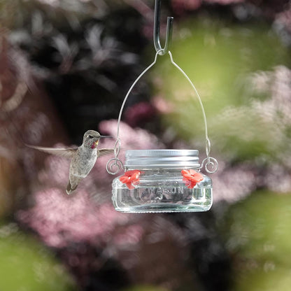 Four-Port Hummingbird Feeder