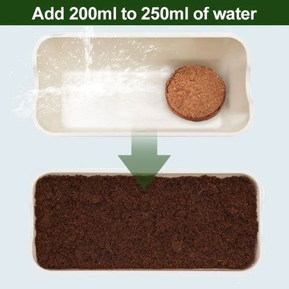 Premium Organic Coconut Coir Bricks for Plants