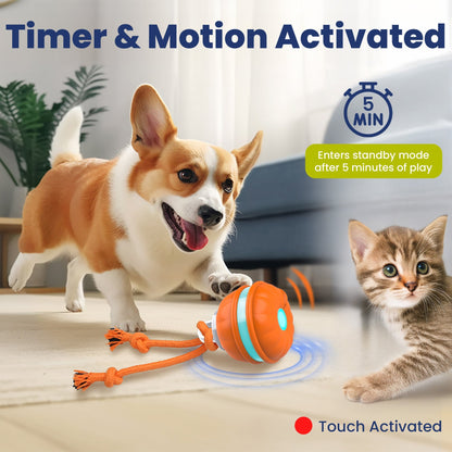 Rechargeable Squeaky Dog Rope Ball
