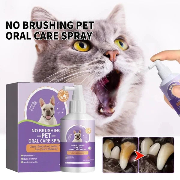 No-Brushing Oral Care Spray for Dogs & Cats