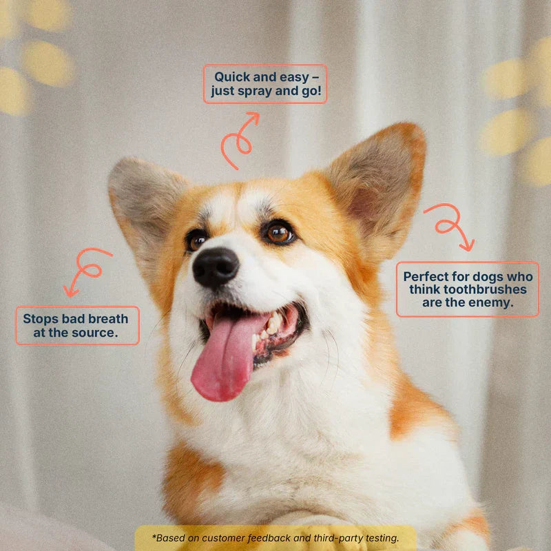 Pet Dental Care Spray
