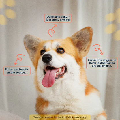 Pet Dental Care Spray