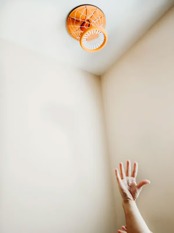 Indoor Basketball Hoop