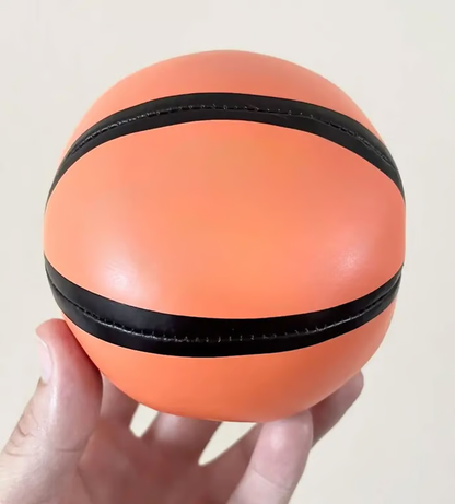 Indoor Basketball Hoop