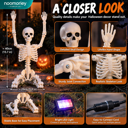 Spooky Crew Halloween Skeleton Decorations