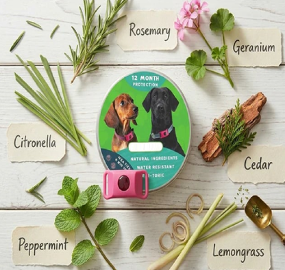 12 Months Flea and Tick Free