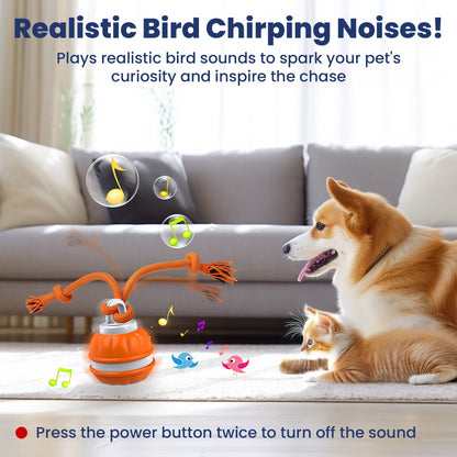 Rechargeable Squeaky Dog Rope Ball