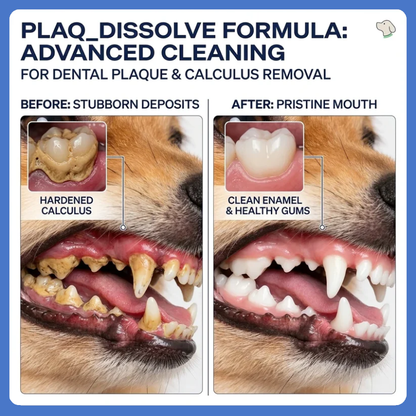 Pet Dental Care Spray