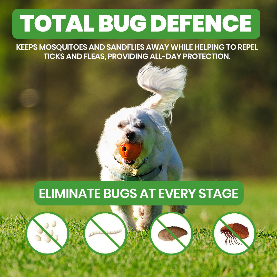 Yearlong Dog Flea Collar