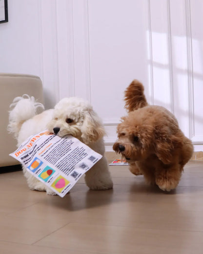 Crinkle Newspaper Dog Toy