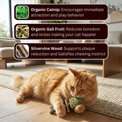 Catnip Silvervine Chew Sticks