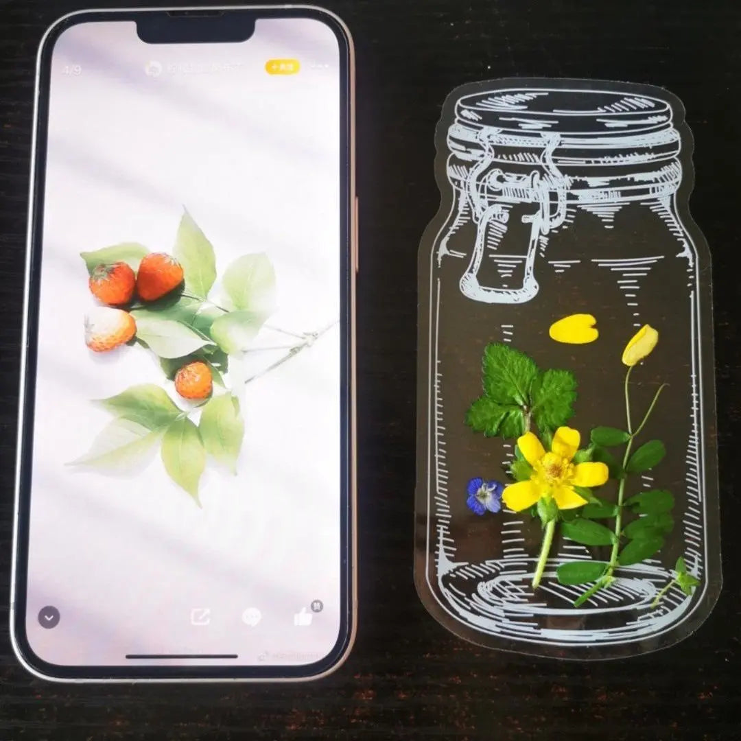 40pcs Transparent Dried Flower Bookmarks-DIY Gifts Bookmarks