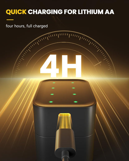 Almost Gone- Charging Compartment - Rechargeable Aa/Aaa Lithium Battery