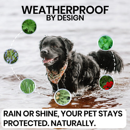 Yearlong Dog Flea Collar