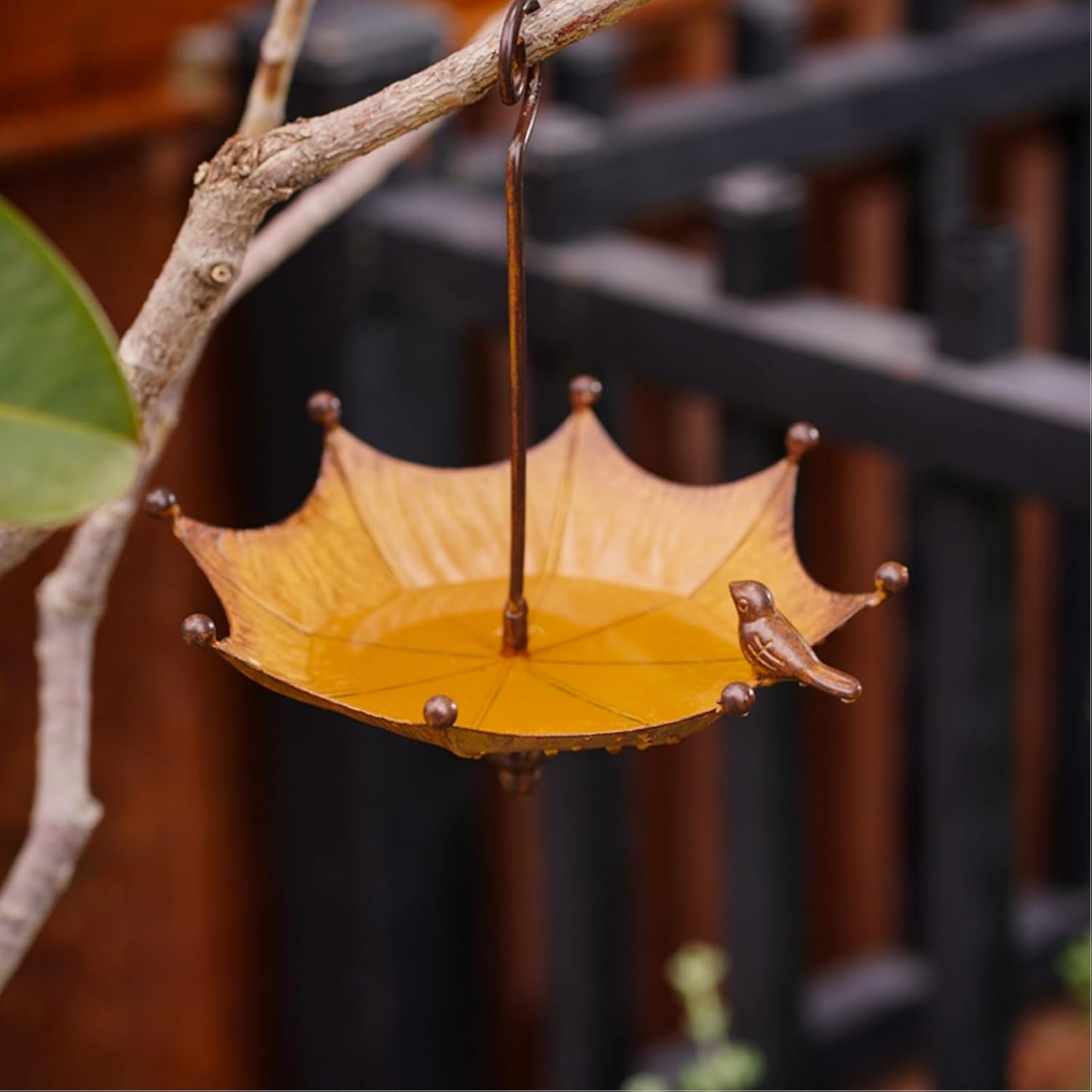Hanging Bird Feeder Bath