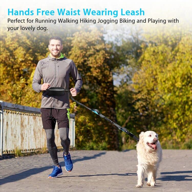 Reflective Pet Running Tether