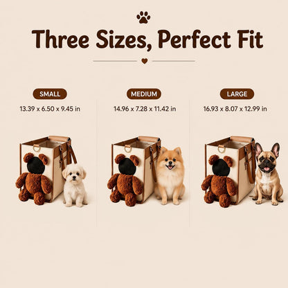 Small Pet Carrier