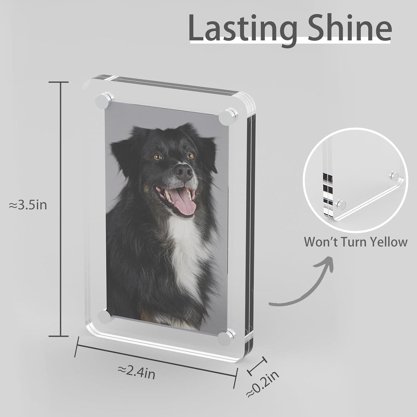 Magnetic Photo Clips