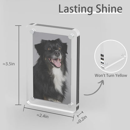 Magnetic Photo Clips