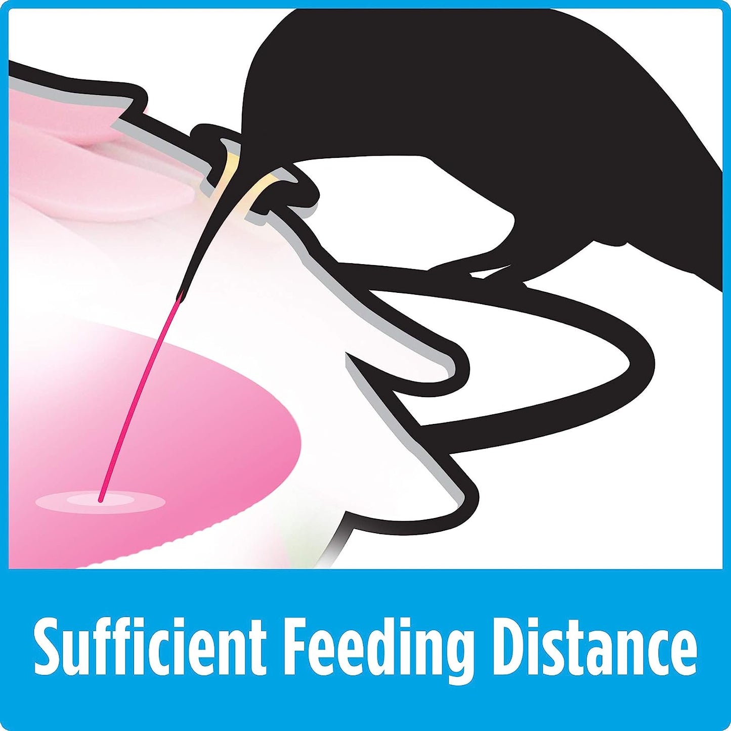 Four-Port Hummingbird Feeder