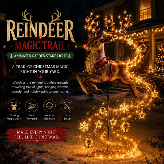 Christmas Magic Garden Collection