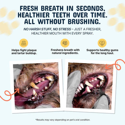 Pet Dental Care Spray